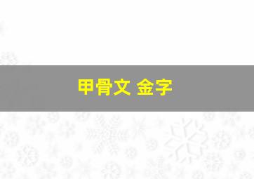 甲骨文 金字